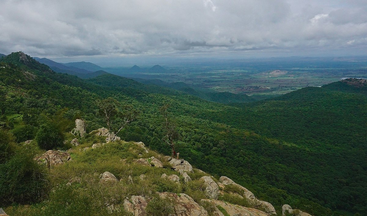 Biligiri Ranganatha Hills