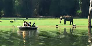 Kabini