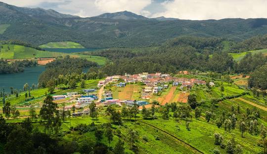 Ooty