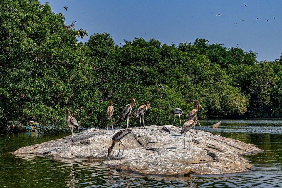 Ranganathittu Bird Sanctuary